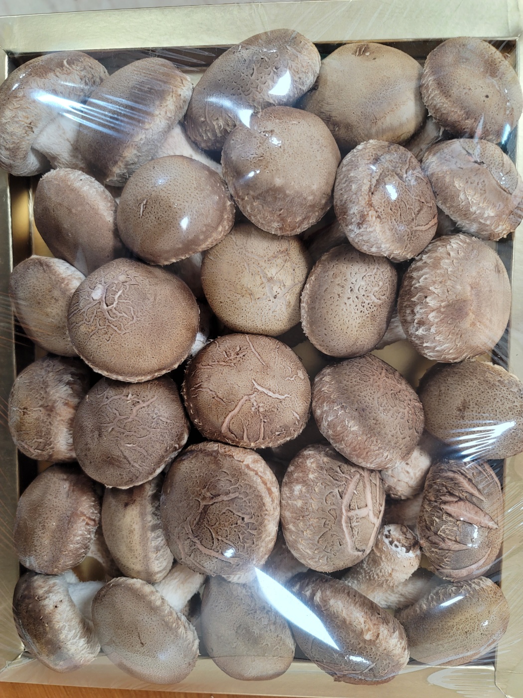 국산 무농약 친환경 송화버섯 선물세트 1kg 송고 고송 송화고 - 상세 이미지 2