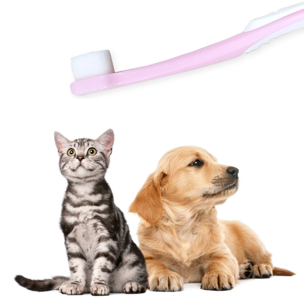 개과천선 파스텔 극세사 강아지 칫솔 3개입 부드러운 칫솔 고양이 치석 입냄새 초극세사모