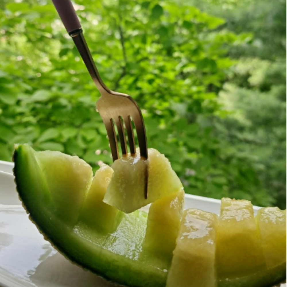 국내산 두들리 머스크멜론 달콤한 고당도 1.5kg 3kg 이미지 8