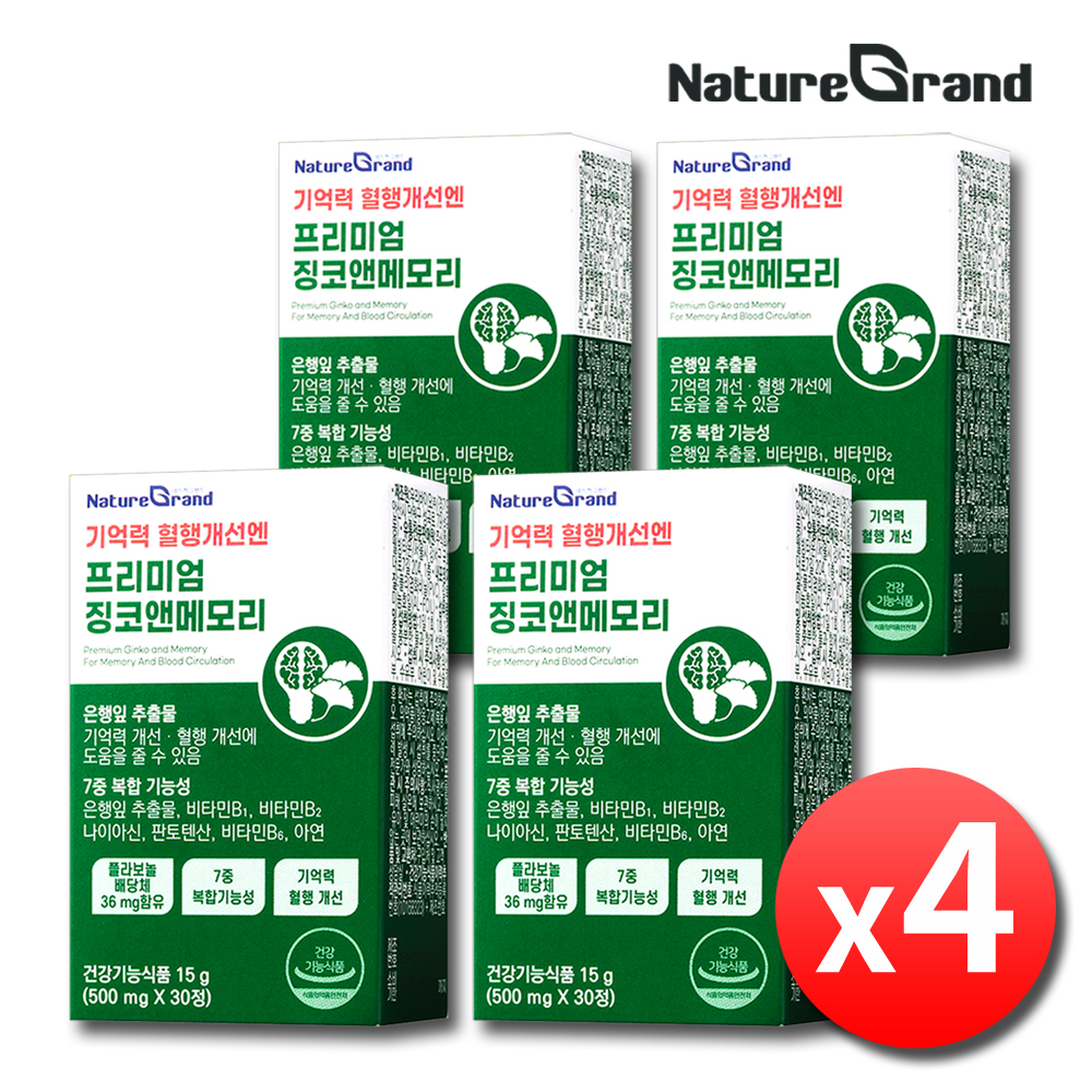 징코플러스 은행잎추출물 영양제 기억력 혈액순환 약4개월