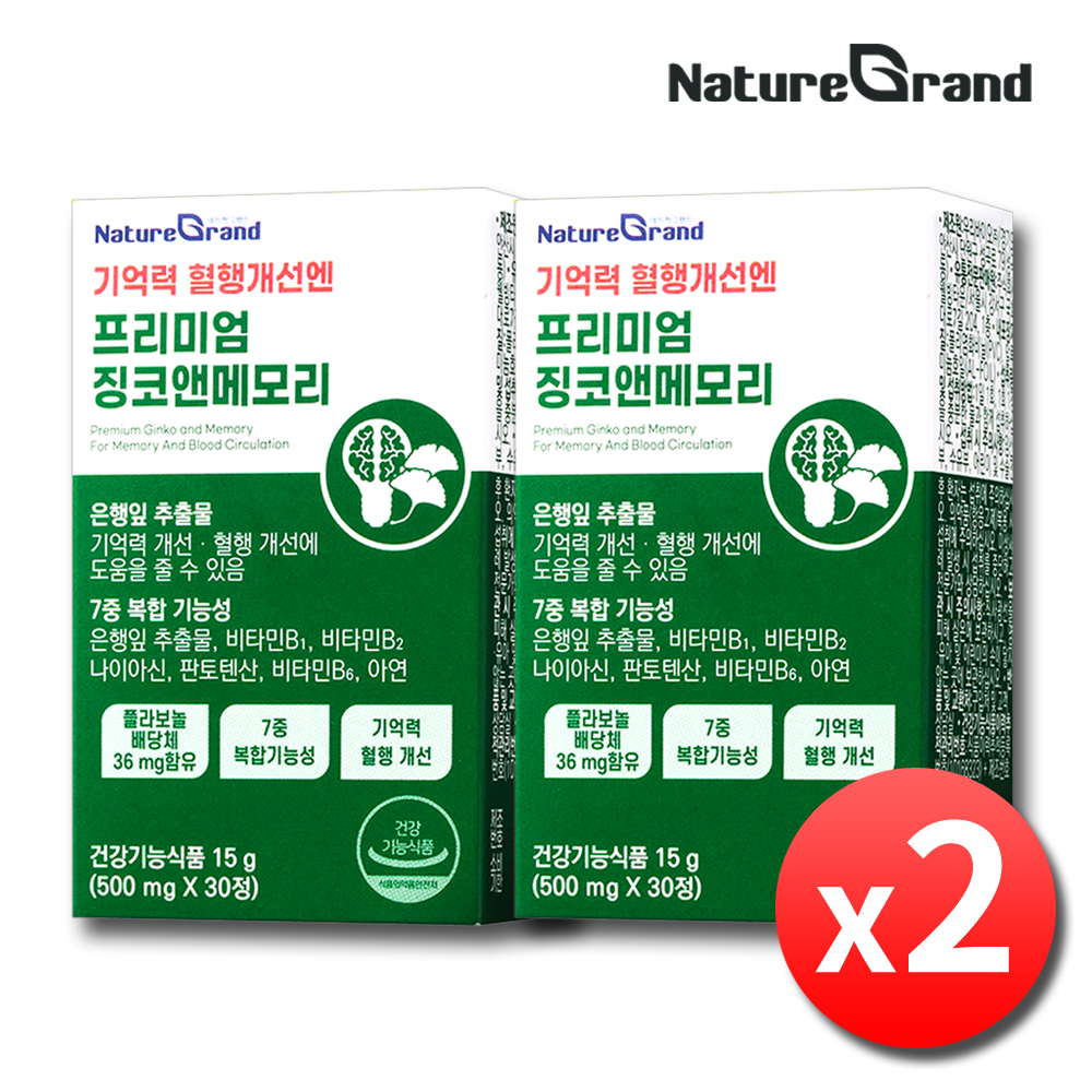 징코플러스 은행잎추출물 영양제 기억력 혈액순환 약2개월