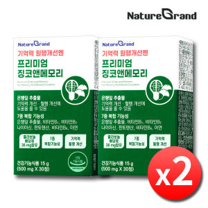 징코플러스 은행잎추출물 영양제 기억력 혈액순환 약2개월 맛있게 먹은 솔직 후기 - 상품 이미지 1