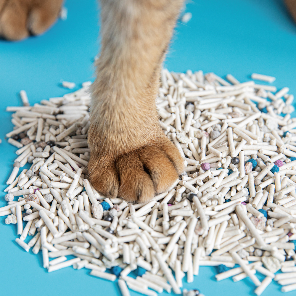 내꼬냥 고양이 두부모래 탈취입자 MAXMIX6 고양이모래 6L, 18개