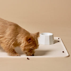 헤이테일 강아지 듀얼 논슬립 실리콘 배변매트 배변판 대형 솔직 후기 | 실제 사용자 리뷰 총정리 - 상품 이미지 2