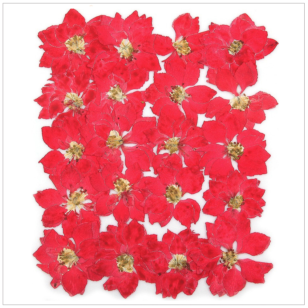 프레스코21 압화 꽃송이 락스퍼(빨강/착색) - 상품 이미지