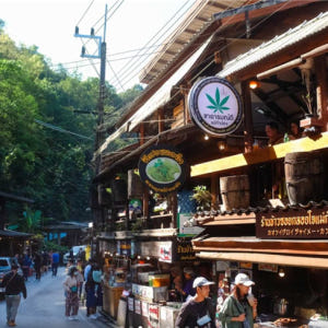태국 매캄퐁 마을 & 온천 1일 투어 | 치앙마이 솔직 후기 | 실사용자 리뷰 분석 - 상품 이미지 3