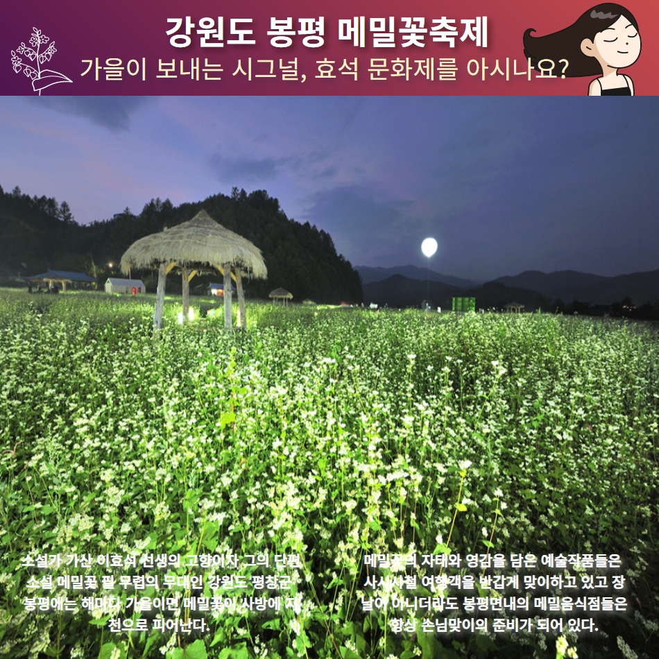 [울산출발버스여행] 가을 봉평메밀꽃밭과 대관령양때목장 삼척해상케이블카 - 상세 이미지 4