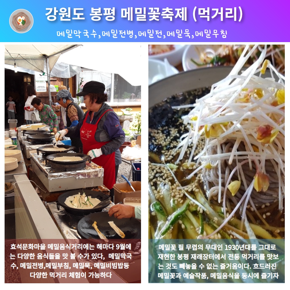 [울산출발버스여행] 가을 봉평메밀꽃밭과 대관령양때목장 삼척해상케이블카 이미지 6