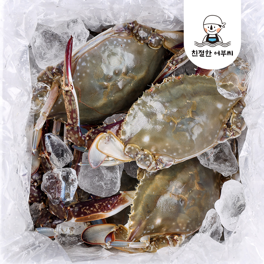 서해안 꽃게 활꽃게 구매 생물 꽃게 급냉 꽃게 꽃게 후기