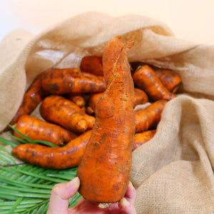잇츠어글리 친환경 유기농 무농약 못난이당근 쥬스용 3kg 5kg 10kg 맛있게 먹은 솔직 후기 - 상품 이미지 1