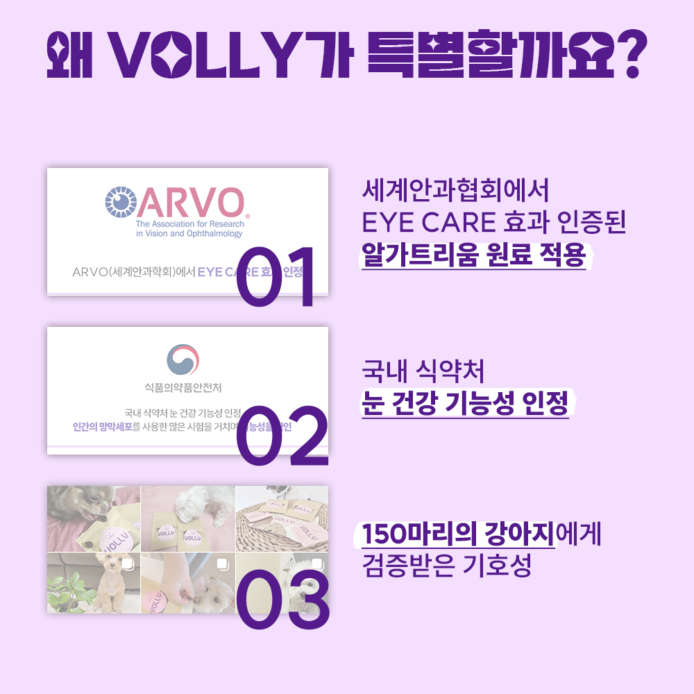 강아지 오메가3 눈 영양제 볼리 알가트리움 메이드인랩 100개입, 1개 이미지 2