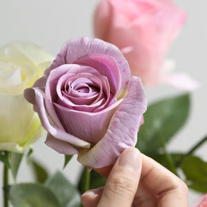 하젤 로즈 장미 생화같은 인테리어 실크 조화 꽃 실사용 후기 | 효과 있을까? - 상품 이미지 4