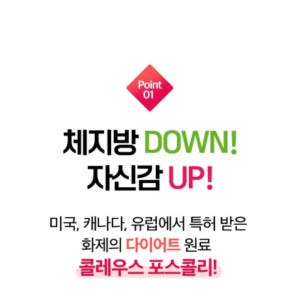 콜레우스포스콜리 다이어트 체지방감소 비타민B 맛있게 먹은 솔직 후기 - 상품 이미지 3