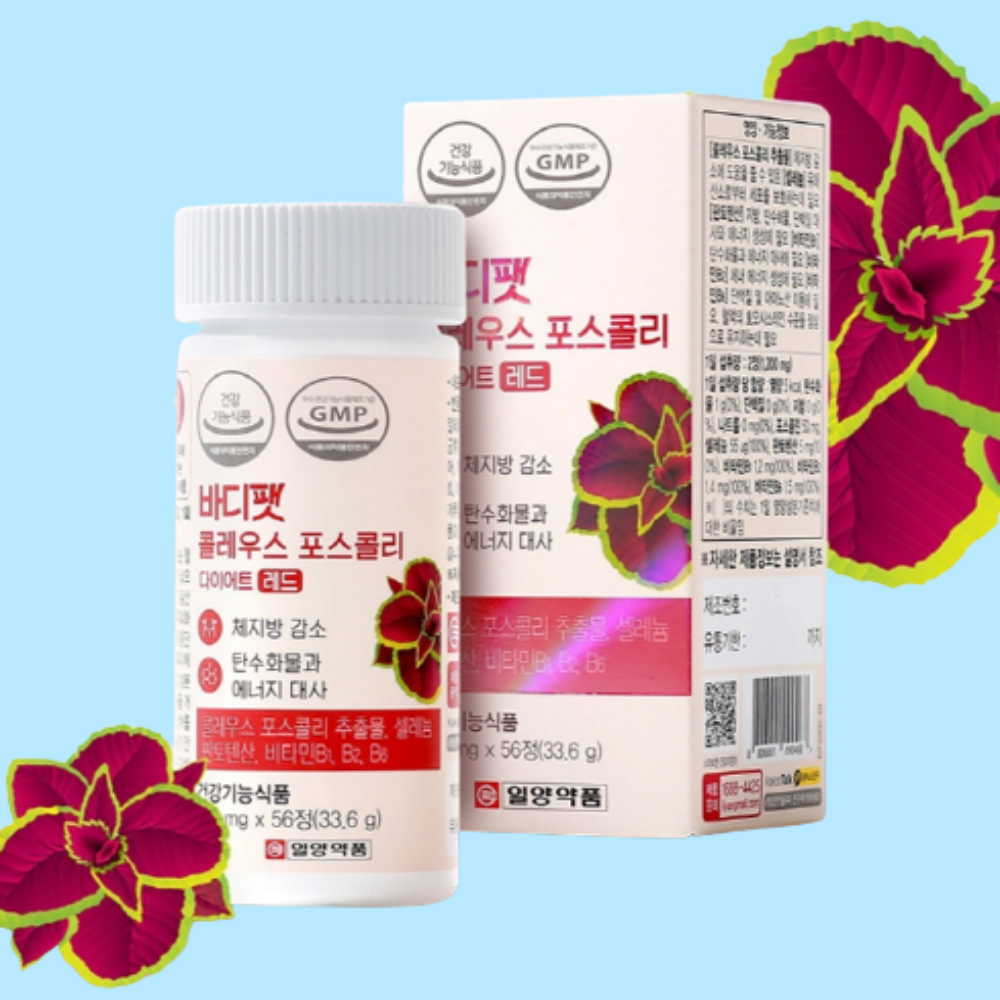 콜레우스포스콜리 다이어트 체지방감소 비타민B