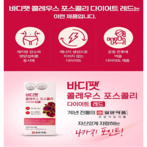 콜레우스포스콜리 다이어트 체지방감소 비타민B 맛있게 먹은 솔직 후기 - 상품 이미지 2