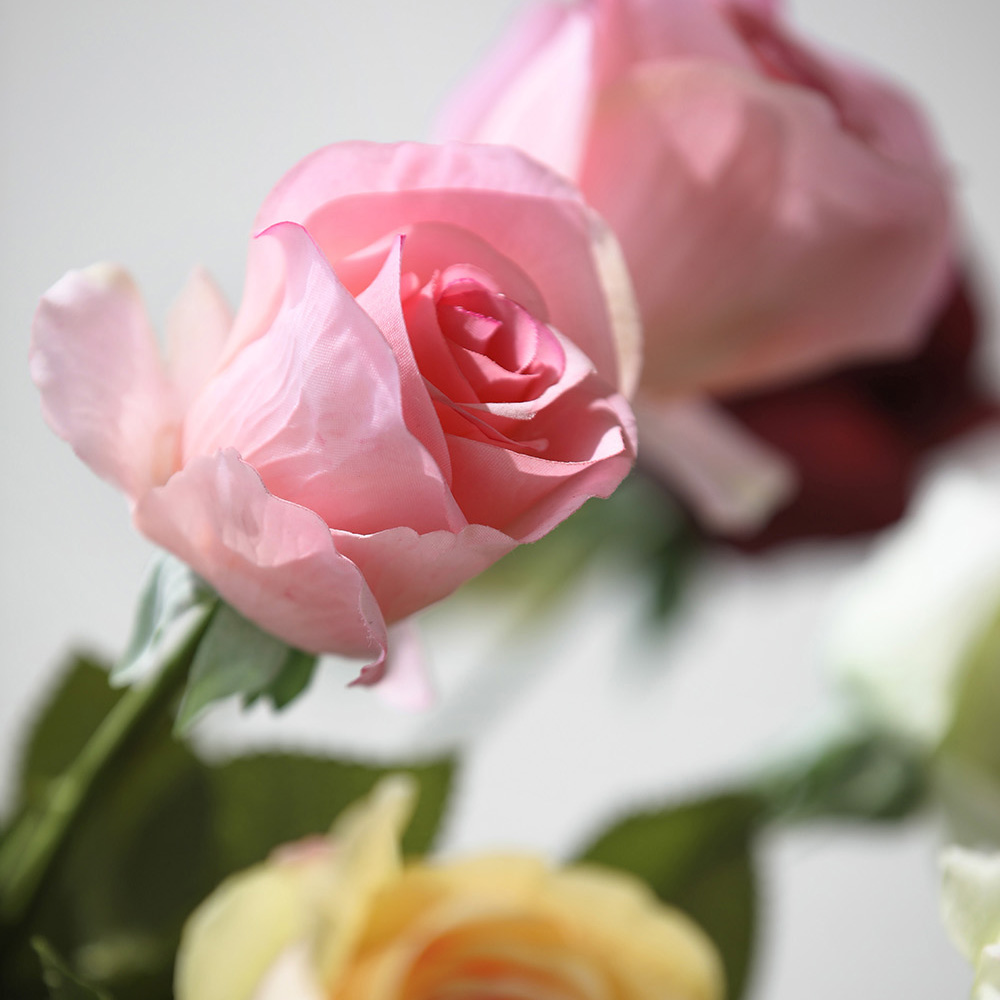 하젤 로즈 장미 생화같은 인테리어 실크 조화 꽃 이미지 2