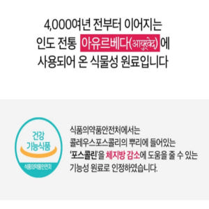콜레우스포스콜리 다이어트 체지방감소 비타민B 맛있게 먹은 솔직 후기 - 상품 이미지 4