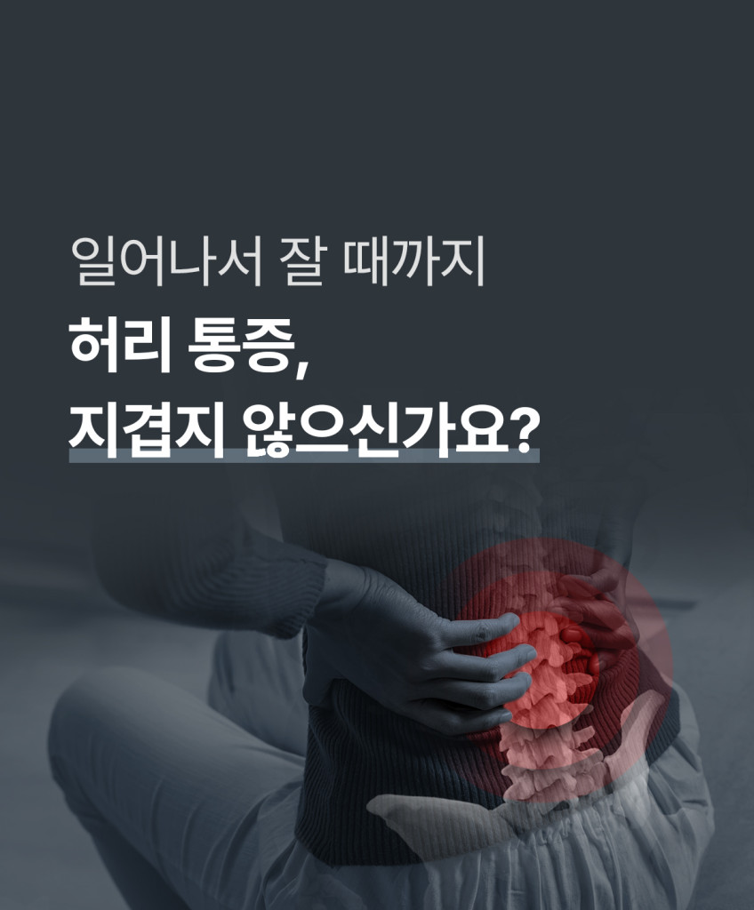 허리베개 8포인트 지압봉 디스크 요추베개 판매처 상세 정보 이미지 2