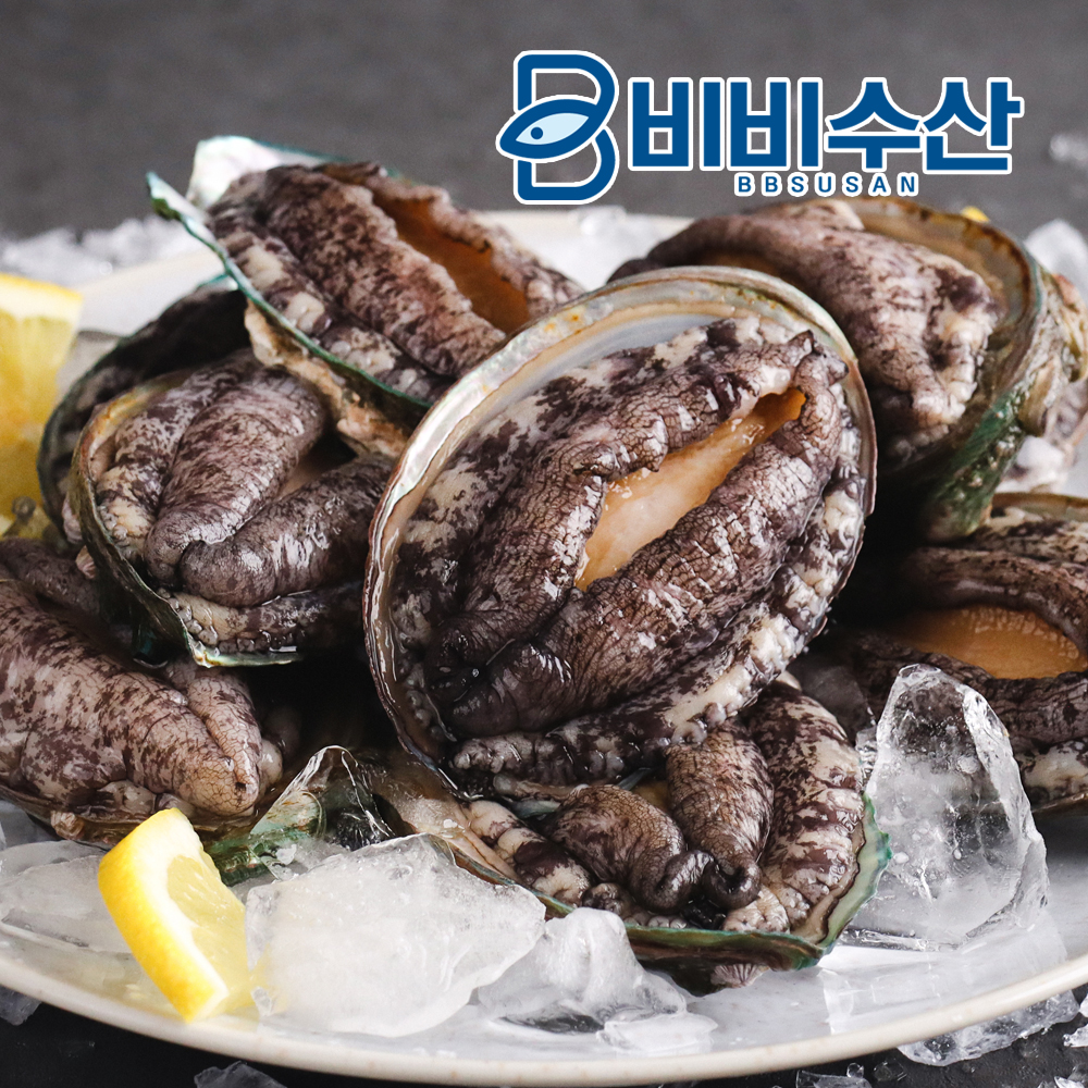 살아있는 완도 활전복 1kg 활 전복 참전복 선물세트 제품 이미지