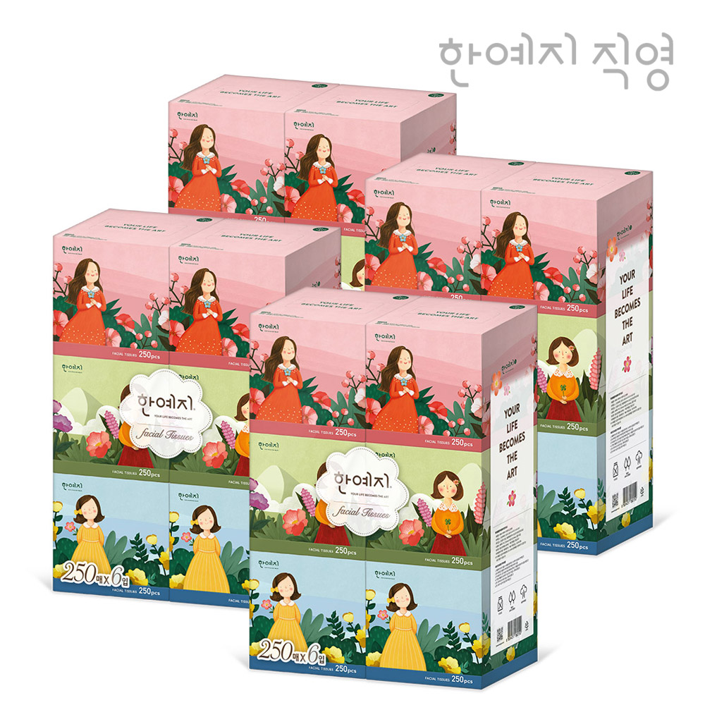 한예지 캐릭터 MINI 천연펄프 곽티슈 각티슈 미용티슈 250매 6입 4팩