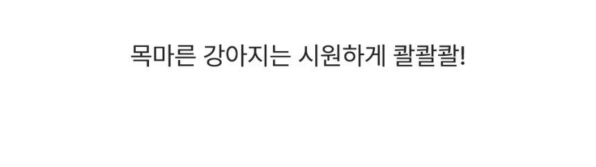 개님의상점 휴대용 실리콘 산책 보틀캡 상세 이미지 19
