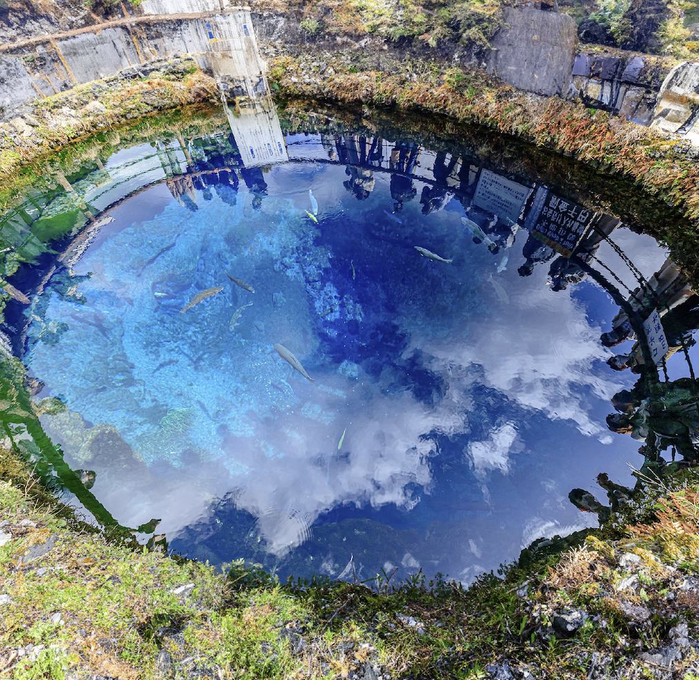 도쿄 후지산 포토스팟 가와구치코 오이시&센겐 공원&오시노 핫카이&로손 편의점 1일 버스투어