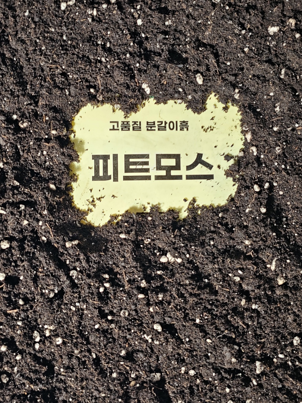 식물의정석 무균 양분가득 가벼운 고급 원예피트모스 배양토 삽목분갈이흙 씨앗 분갈이상토 - 상세 이미지 2
