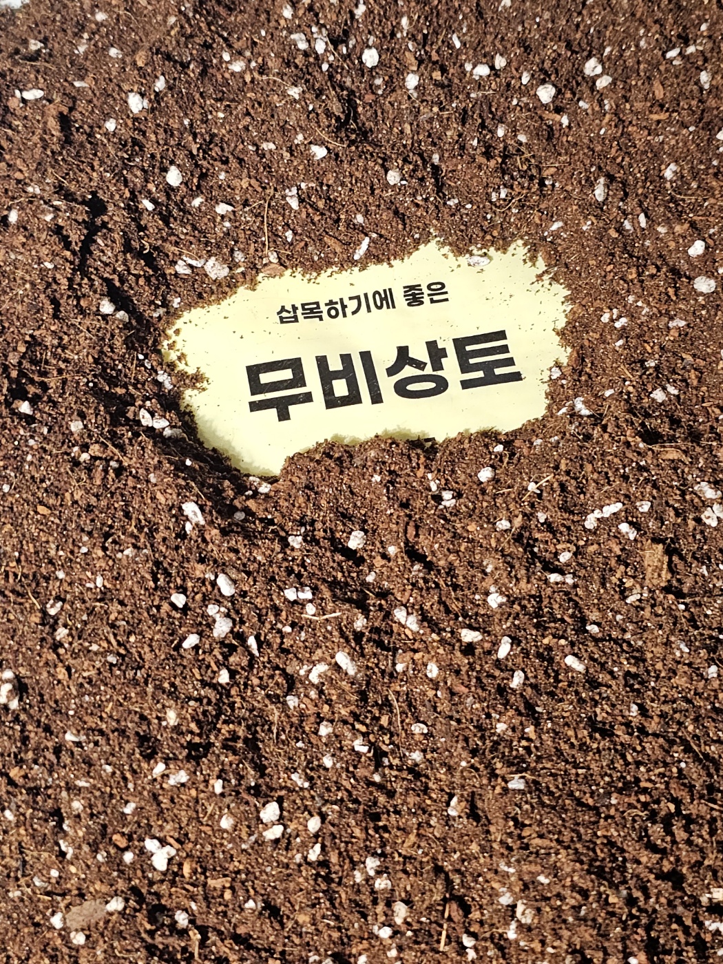 식물의정석 비료성분없은 가벼운 고급 무비상토 유모 삽목 제라늄 몬스테라 상토 - 상세 이미지 2