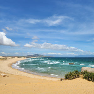 나트랑 판랑 사막투어 지프투어 모닝(오전)/데이(오후)투어 선택 조인or... 솔직 후기 | 실사용자 리뷰 분석 - 상품 이미지 4