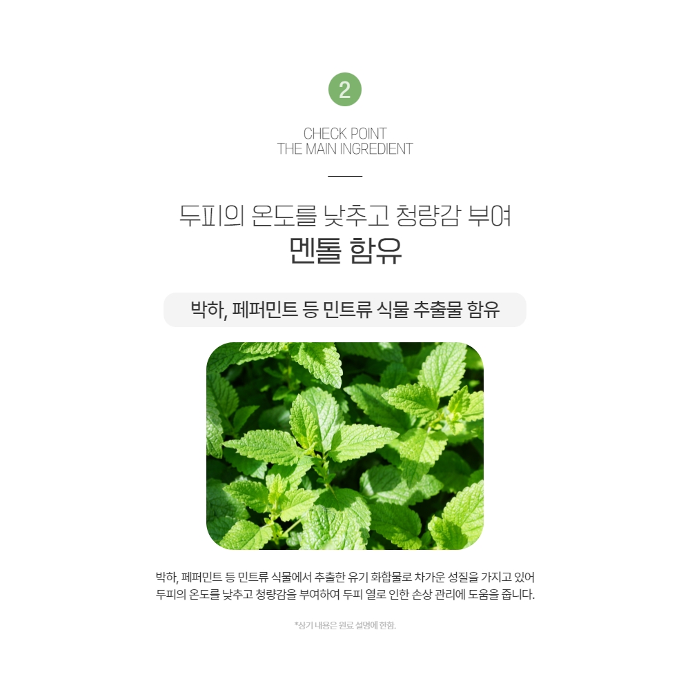 셀비아 헤어케어 샴푸 패키지 이미지 7