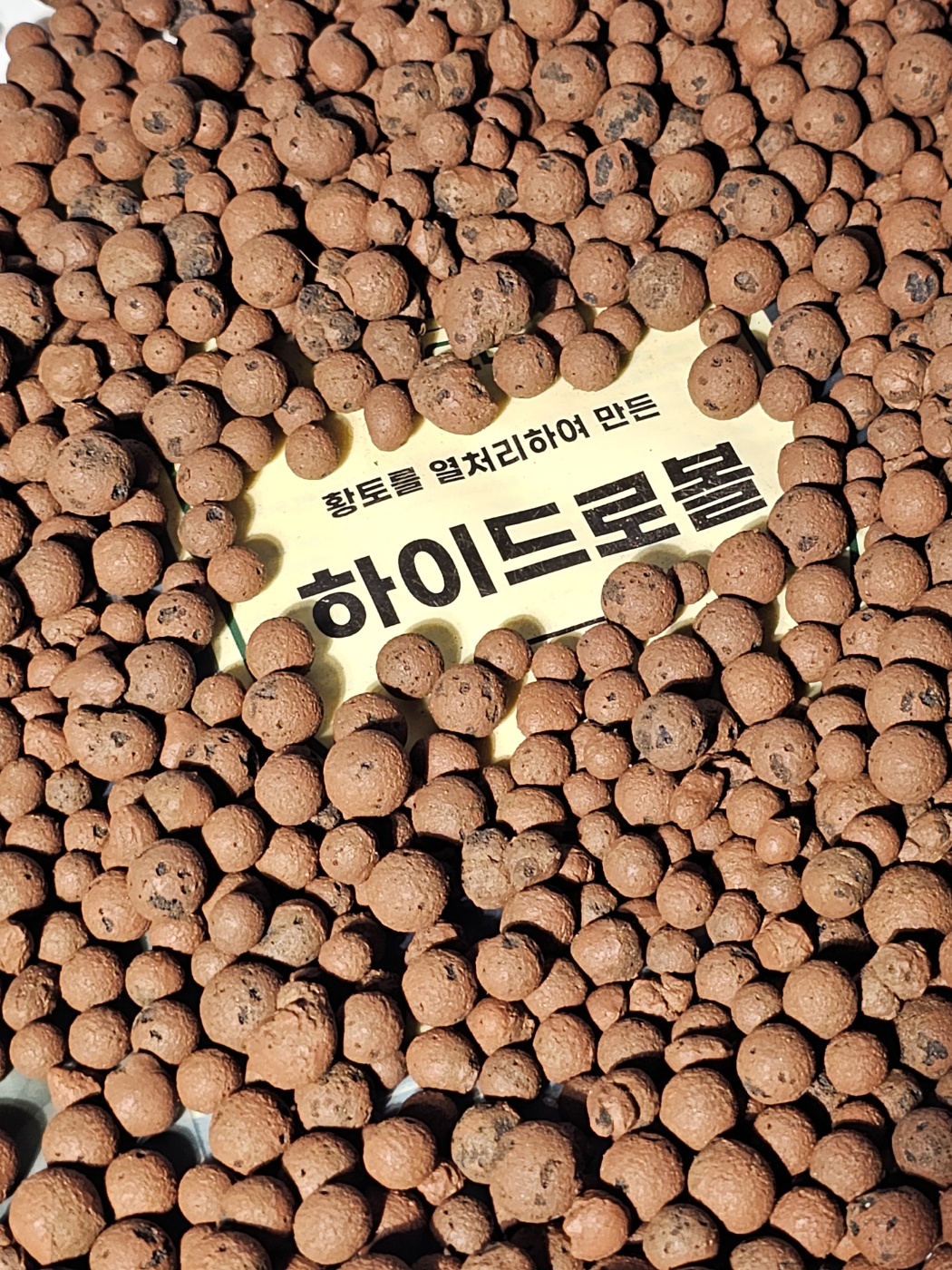 식물의정석 살균된 최고급 황토볼 하이드로볼 생토볼 뿌리발근 수경재배 어항 정화 볼 - 상세 이미지 2