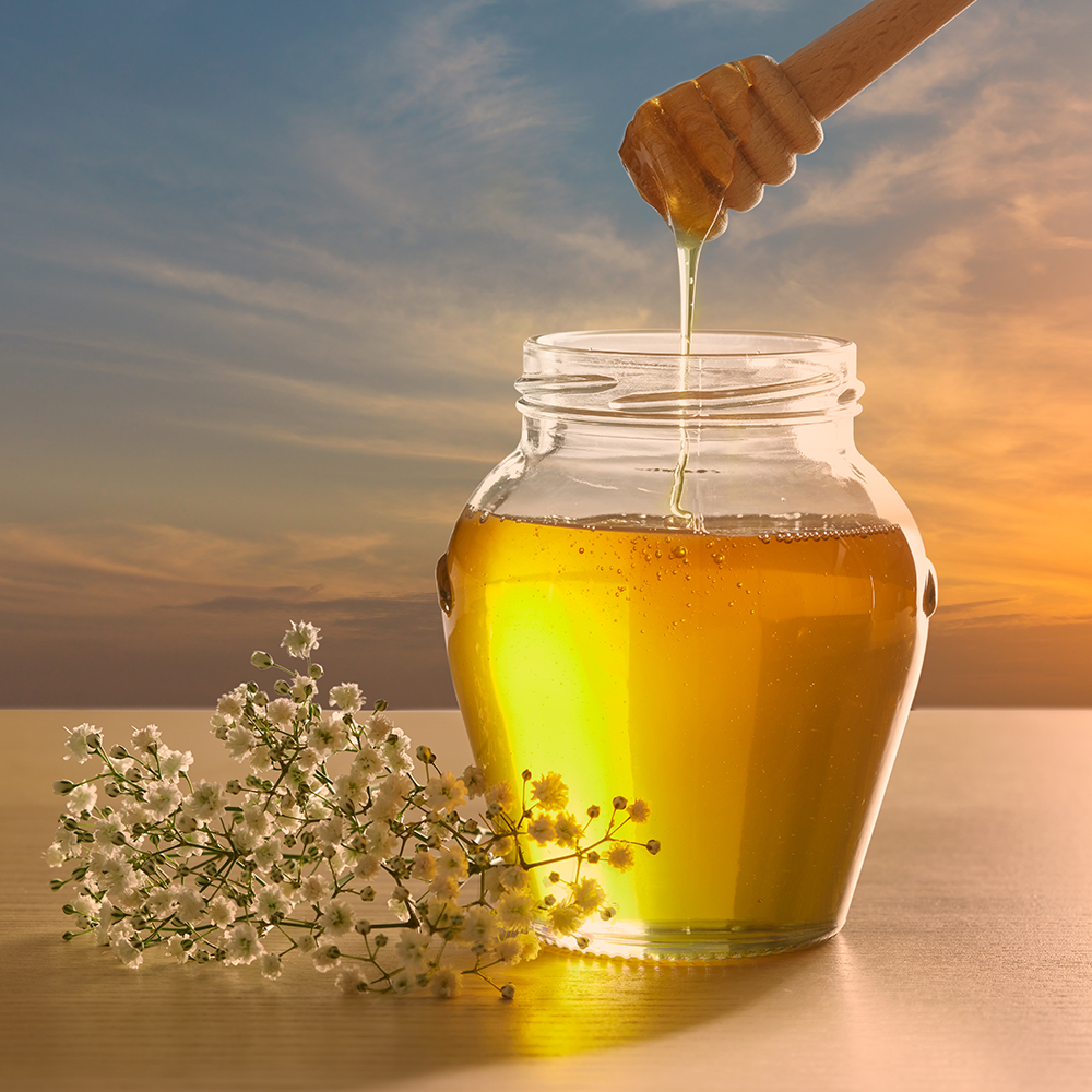 백두대간 햇 사양벌꿀 아카시아 꿀