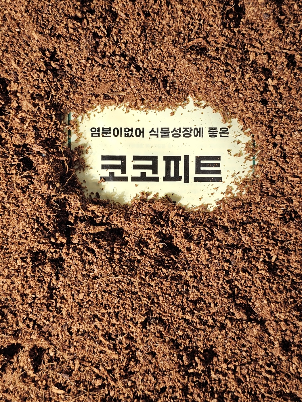 식물의정석 완벽살균된 가벼운 고급 원예코코피트 토양개선 어린식물 씨앗 흙 분갈이상토 - 상세 이미지 3