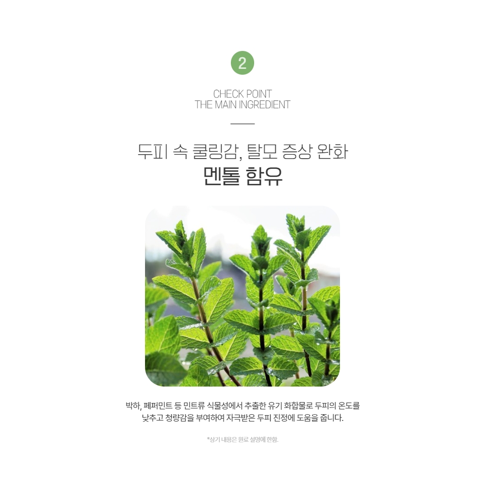 셀비아 스칼피아 두피보호제 그린 프레스 스칼프 토닉 이미지 7