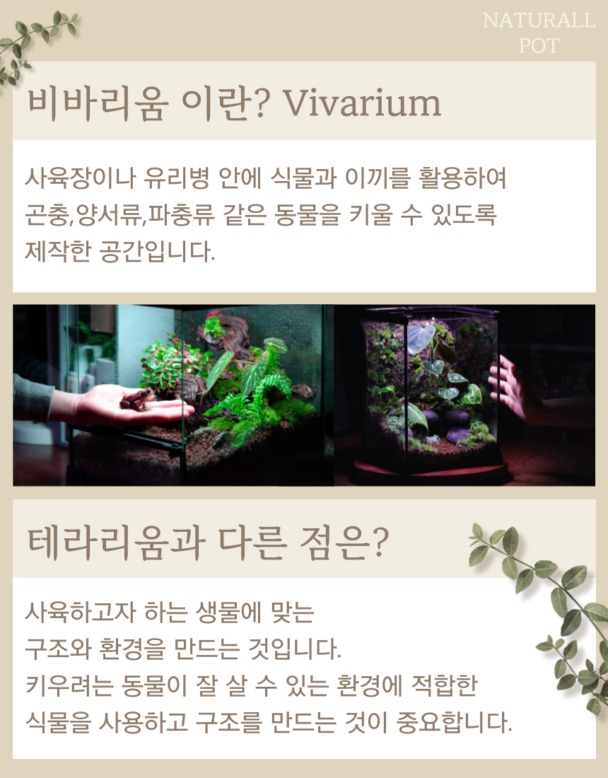 소형 파충류 양서류 게코 비바리움 사육장 Diy 키트 만들기 내츄럴팟 