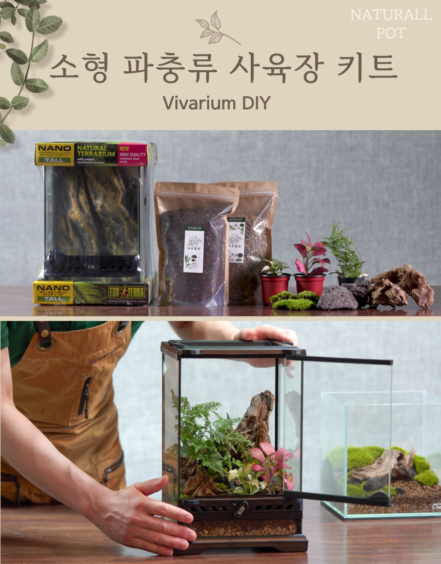 소형 파충류 양서류 게코 비바리움 사육장 Diy 키트 만들기 내츄럴팟 