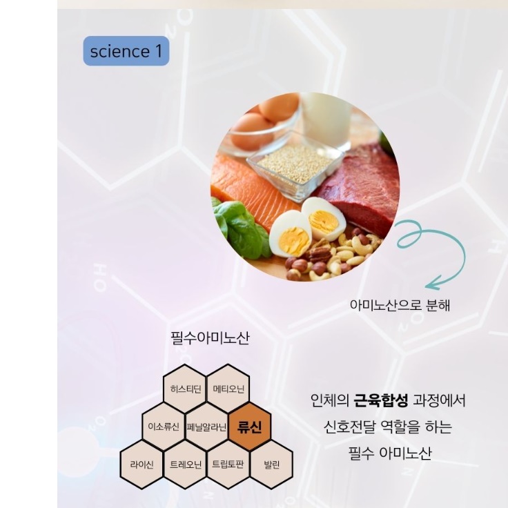 산양유 단백질 알약 단백질 캡슐 보충제 류신 프리미엄 정 타블렛 이미지 4