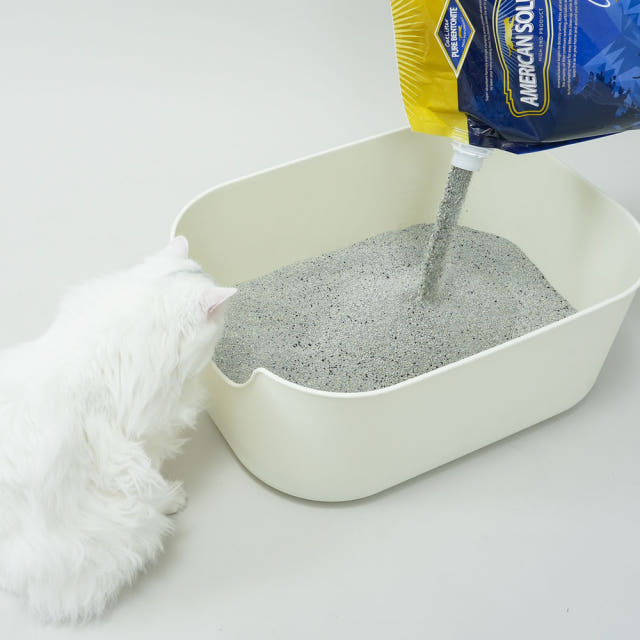 아메리칸솔루션 고양이모래, 냄새 걱정 없나요?