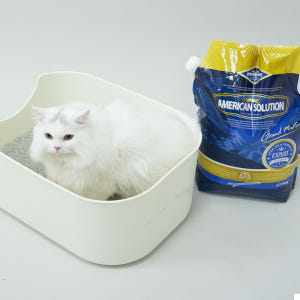 아메리칸솔루션 그랜드마스터 프리미엄 대용량 12.6kg 벤토나이트 고양이... 솔직 후기 | 실제 사용자 리뷰 총정리 - 상품 이미지 3