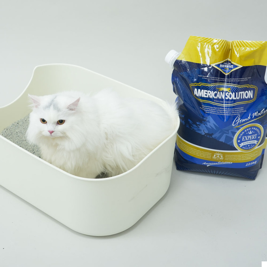 아메리칸솔루션 그랜드마스터 고양이모래 12.6kg