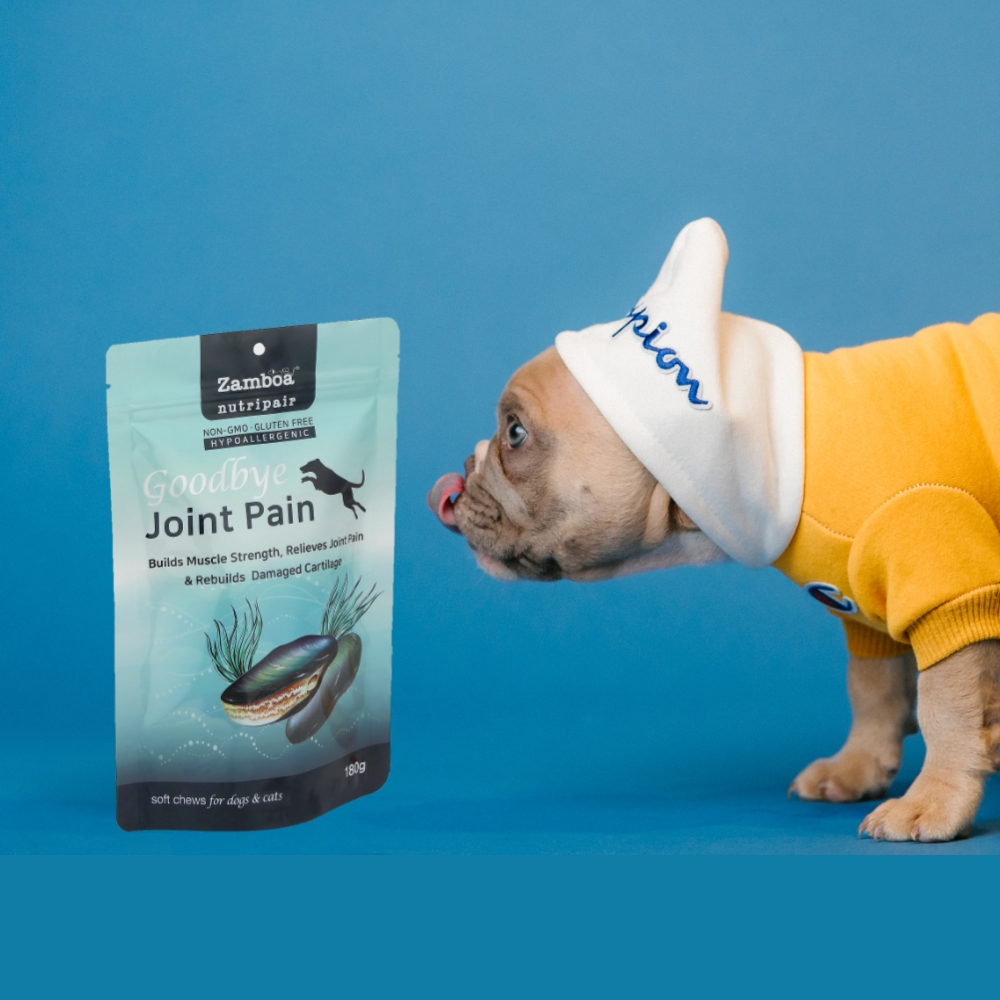 강아지 관절 영양제 슬개골 탈구 약 조인트