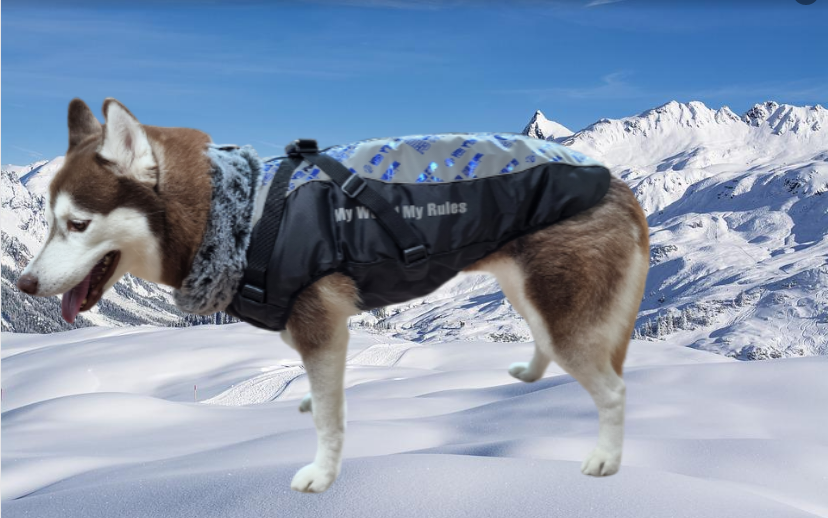 대형견패딩 강아지 애견 패딩 조끼 패딩하네스 xl