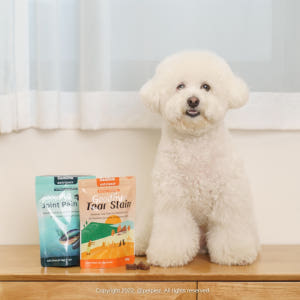 강아지 영양제 잠보아 뉴트리페어 관절 눈 종합 180g 솔직 후기 | 실제 사용자 리뷰 총정리 - 상품 이미지 4