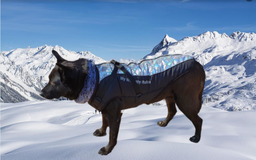 대형견패딩 강아지 애견 패딩 조끼 패딩하네스 xl