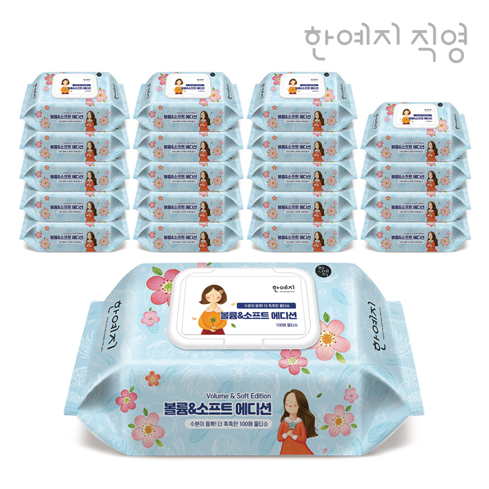 한예지 볼륨앤소프트 에디션 물티슈 캡형 100매, 20개