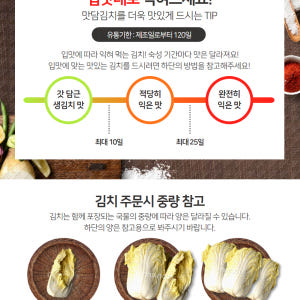 소윤이네 국내산 안매운김치 배추 경상도김치 3kg 맛있게 먹은 솔직 후기 - 상품 이미지 4