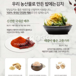 소윤이네 국내산 안매운김치 배추 경상도김치 3kg 맛있게 먹은 솔직 후기 - 상품 이미지 2