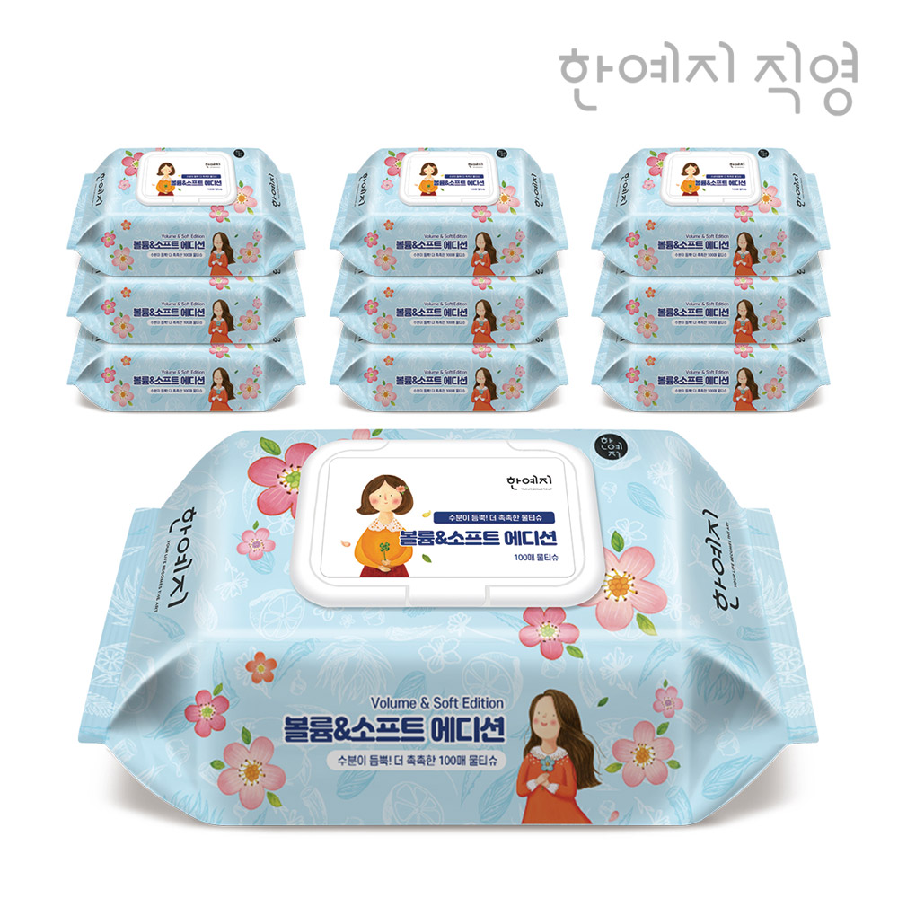 한예지 볼륨앤소프트 에디션 물티슈 캡형 100매, 10개