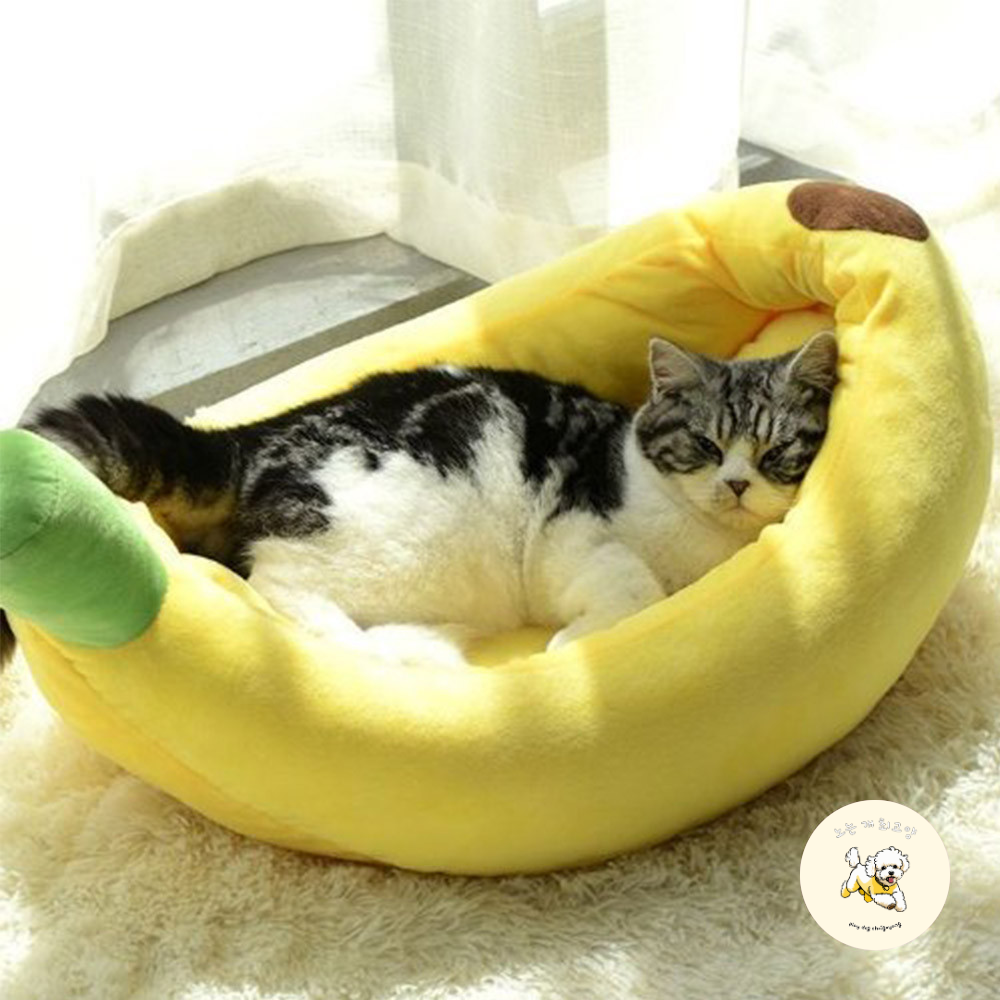 강아지 방석 애견 고양이 대형견 바나나 쿠션 S - 상세 이미지 5