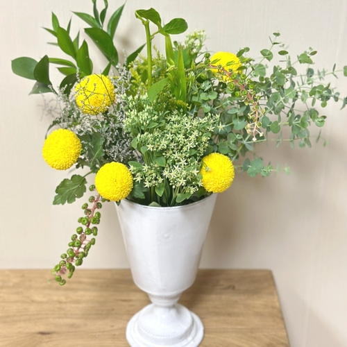 리틀캠든 퐁퐁국화 한다발 이미지 3